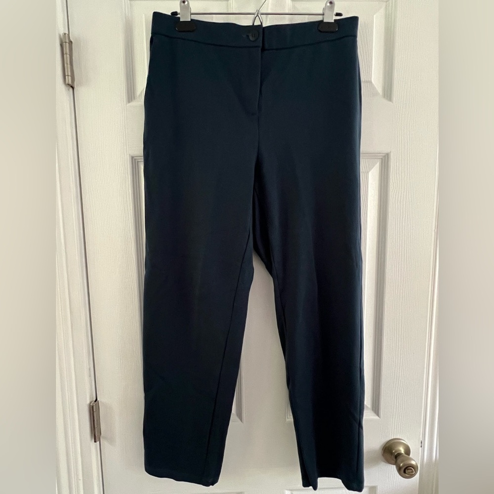 Eileen Fisher blue cropped pants Medium EUC